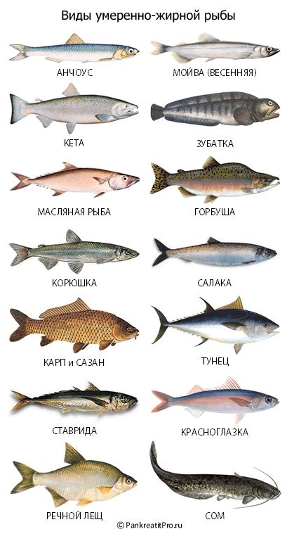 Какая морская рыба самая полезная для здоровья человека: названия, краткое описание