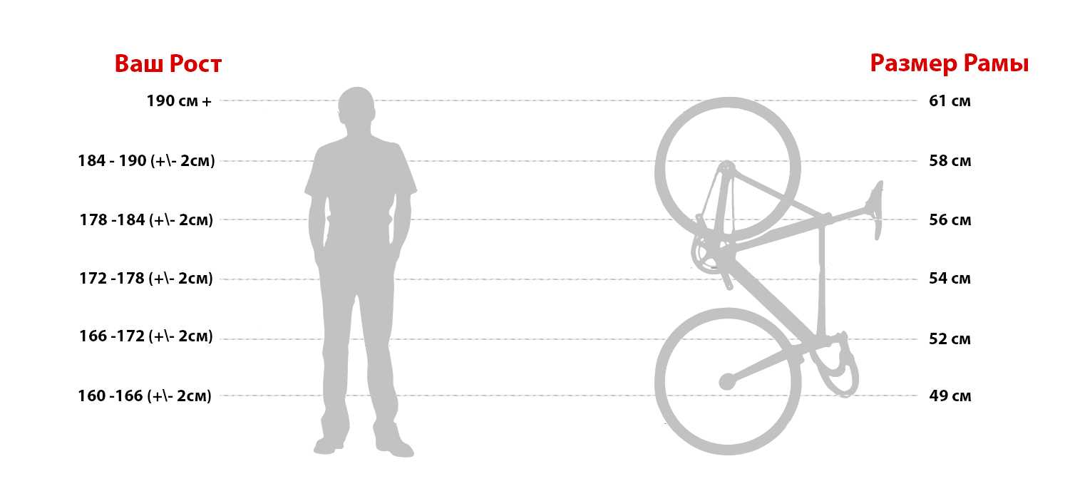 Советы новичку: как выбрать велосипед