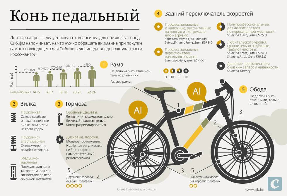 Чем отличается горный велосипед от дорожного велосипеда. какой лучше велосипед - горный или дорожный