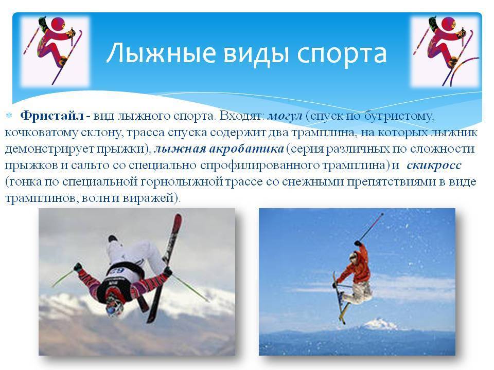 Какие существуют виды лыжного спорта: подробный обзор