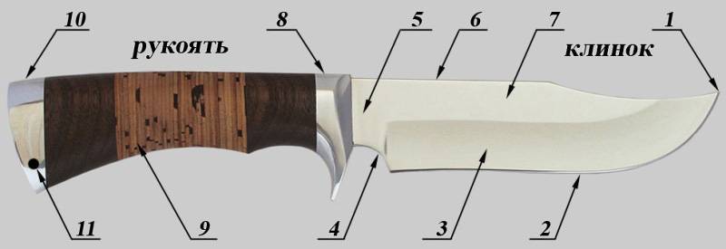 Разновидности ножей: классификация по форме и назначению