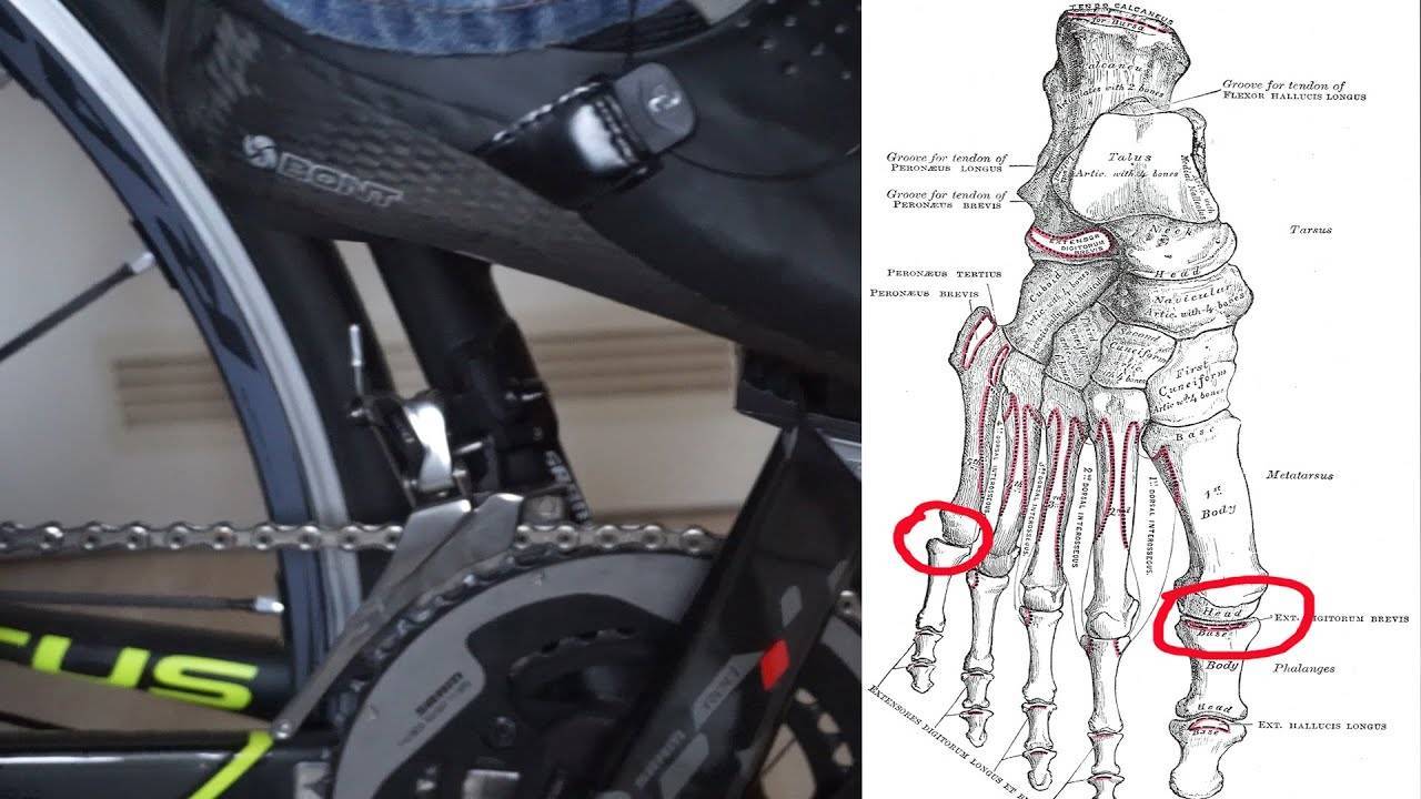 Интересные факты о зачем шипы на велотуфлях