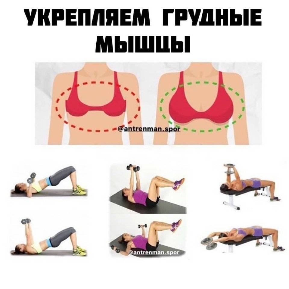 упражнения на грудь для женщин с гантелями фото 5