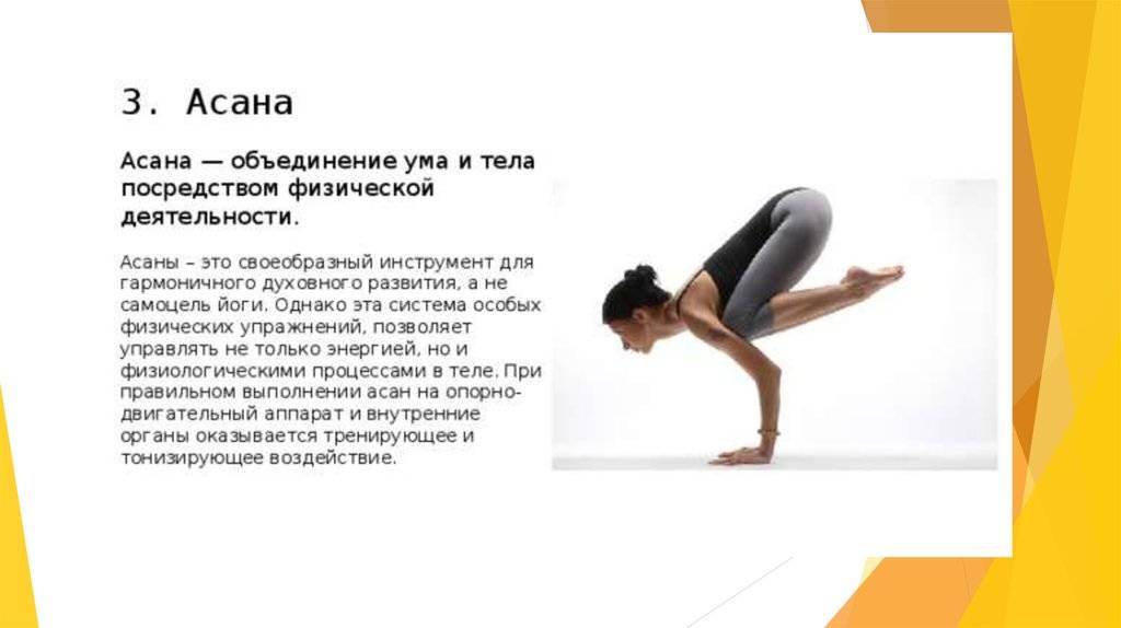 Йога: польза и вред от упражнений для организма