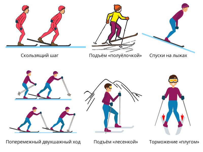 Лыжная подготовка спуски. Лыжные ходы спуски подъемы торможения. Техника лыжных ходов спуски подъемы. Спуски и подъемы на лыжах схемы. Виды лыжных ходов спуск.