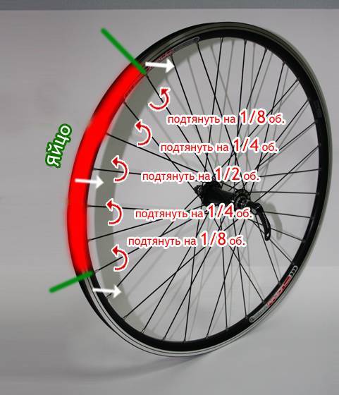 Как самостоятельно подтянуть спицы на велосипеде, пошаговая инструкция