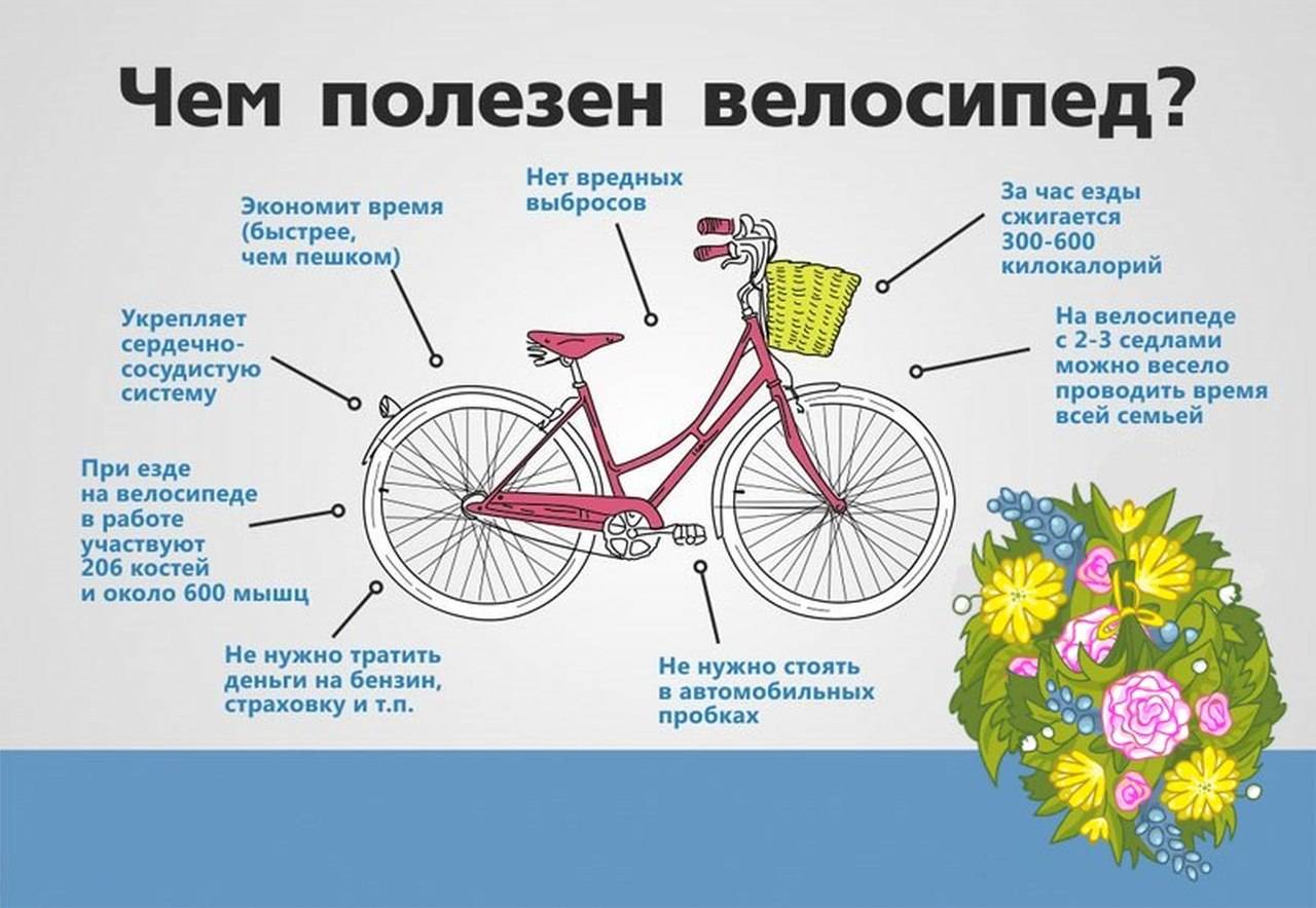 Польза езды на велосипеде. 15 преимуществ и выгод