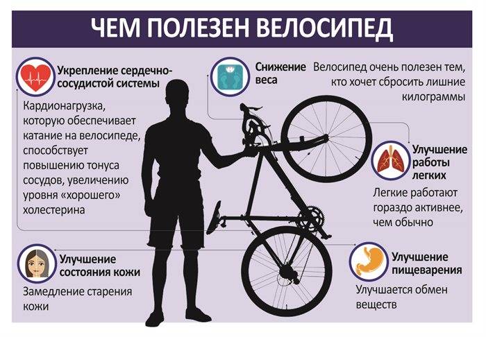 Ходьба, бег или велосипед что полезнее для здоровья и похудения?