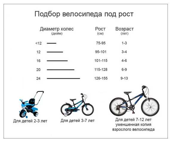 Детские велосипеды от 6 до 10 лет: как выбрать, популярные модели для ребенка