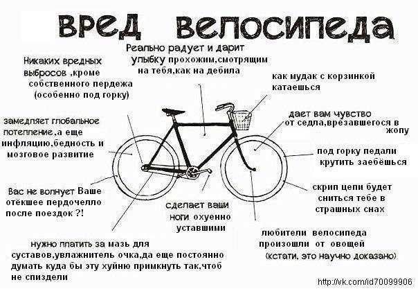 Чем полезна езда на велосипеде для организма?