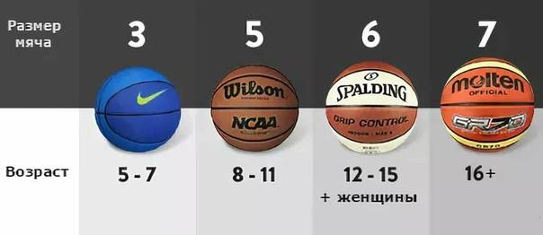 Размер мяча в мужском баскетболе. Размеры баскетбольных мячей по возрасту. Баскетбольный мяч 3 размер диаметр. Баскетбольный мяч 5 размер диаметр. Размеры баскетбольных мячей по возрасту таблица.