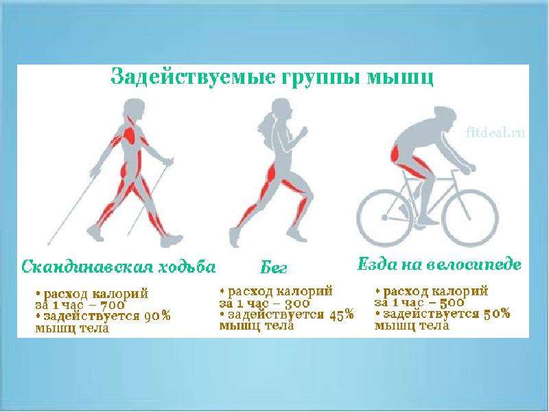 Сколько в день ездить на велосипеде. Велосипед количество калорий. Затраты калорий при езде на велосипеде. Количество калорий при езде на велосипеде. Езда на велосипеде калории за час.