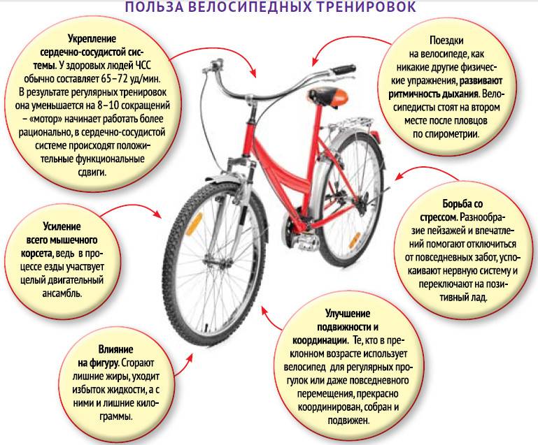 Езда на велосипеде: польза и вред для женщин, как ездить правильно
