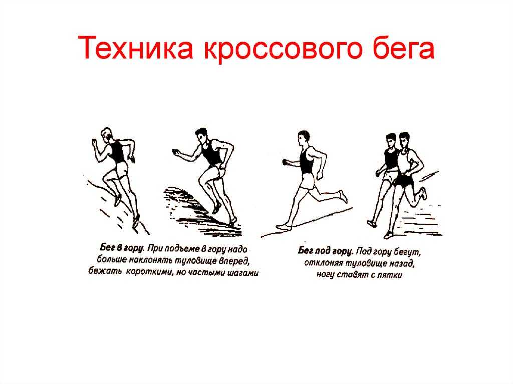 ✅ кроссовый бег. виды и техника бега. начинающим и особенности - motoshkolads.ru