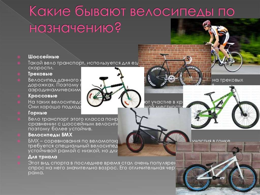 Чем отличается горный велосипед от дорожного