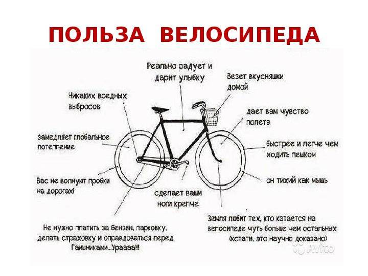 Реальная польза и вред от езды на велосипеде для мужчин, женщин и детей
