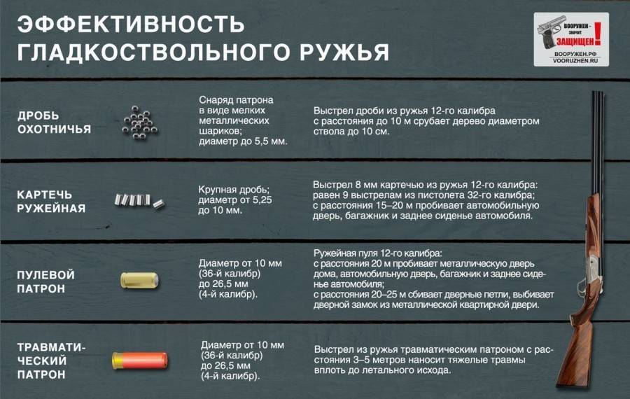 Какое выбрать ружье начинающему охотнику? - truehunter.ru