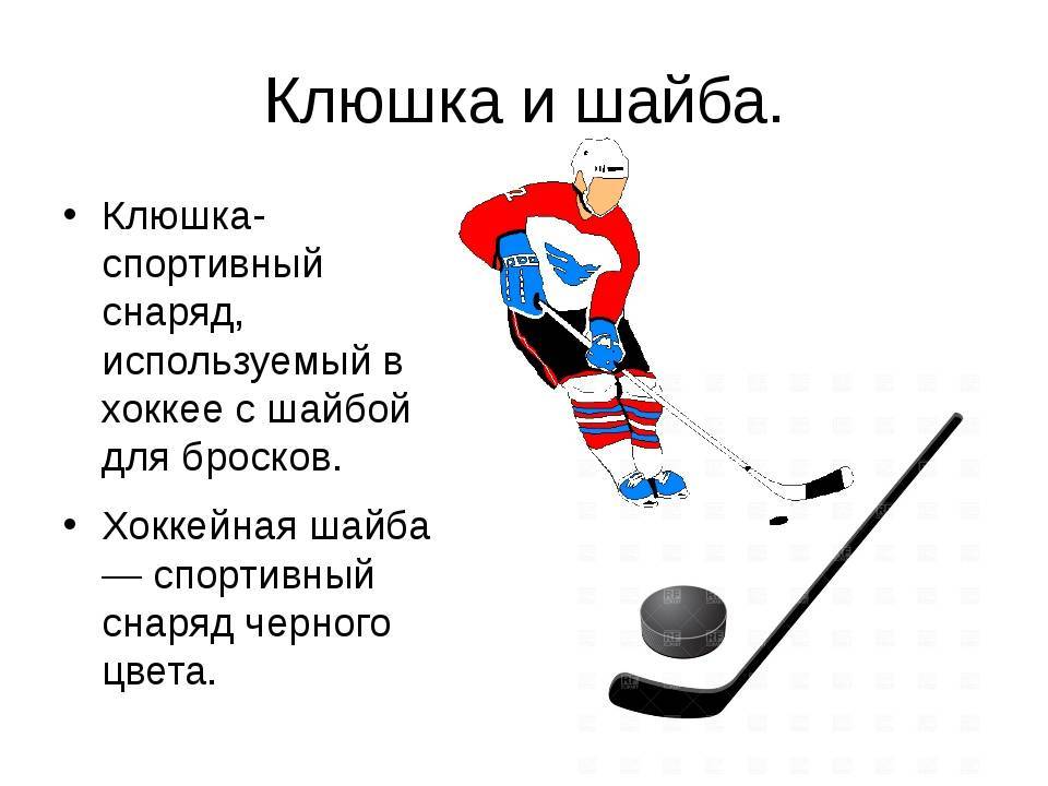 История возникновения и развития хоккея на траве: в чем особенность этой игры? хоккей на траве - правила игры.