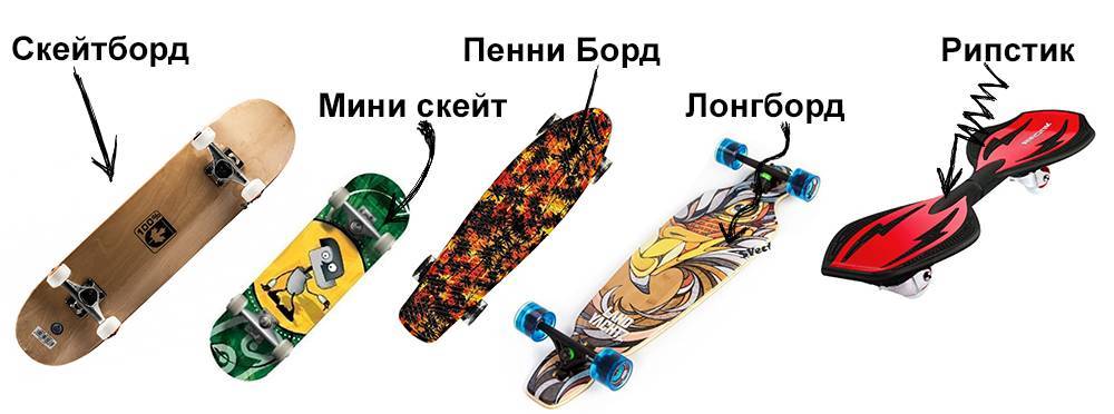 Как выбрать скейтборд: виды, сколько стоит, в чем различия, из чего состоит