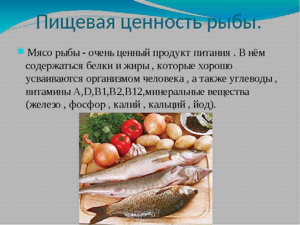 Польза рыбы — 10 доказанных свойств для здоровья человека