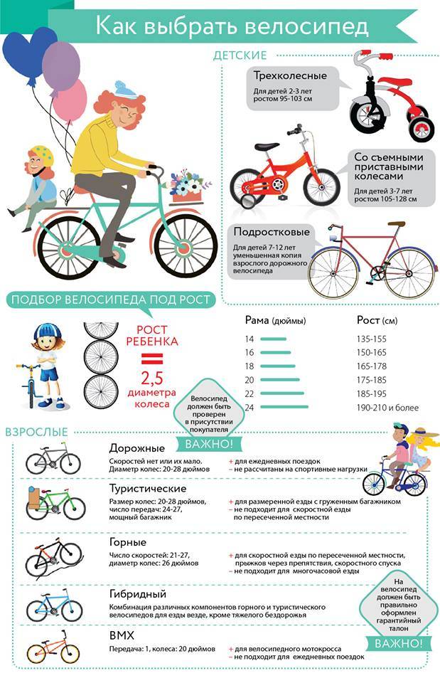 Как выбрать детский велосипед, особенности выбора байка для ребенка по росту