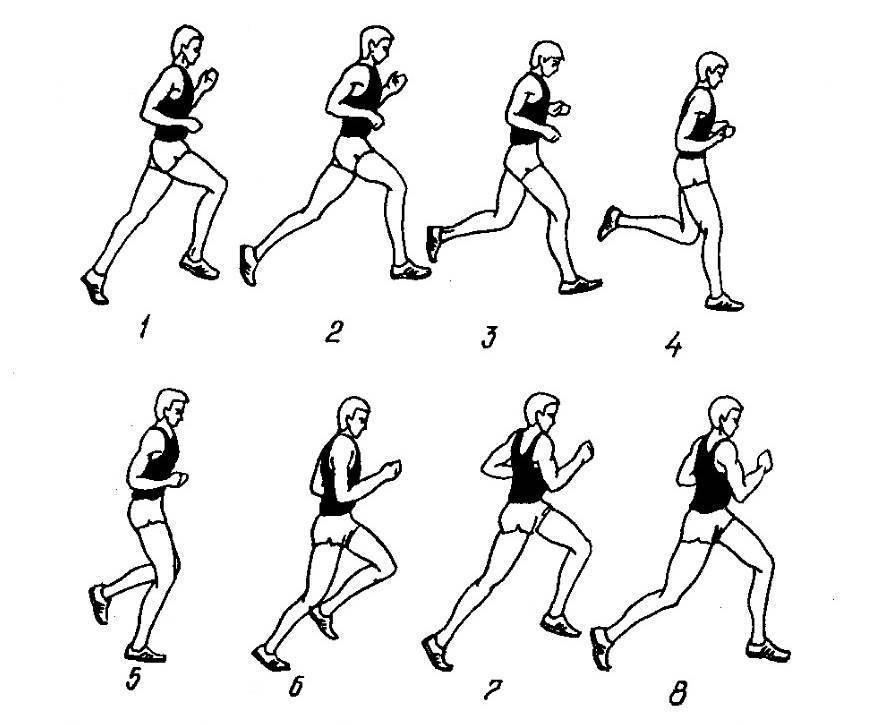 Техника бега на длинные дистанции: 5 основных правил - "марафонец"