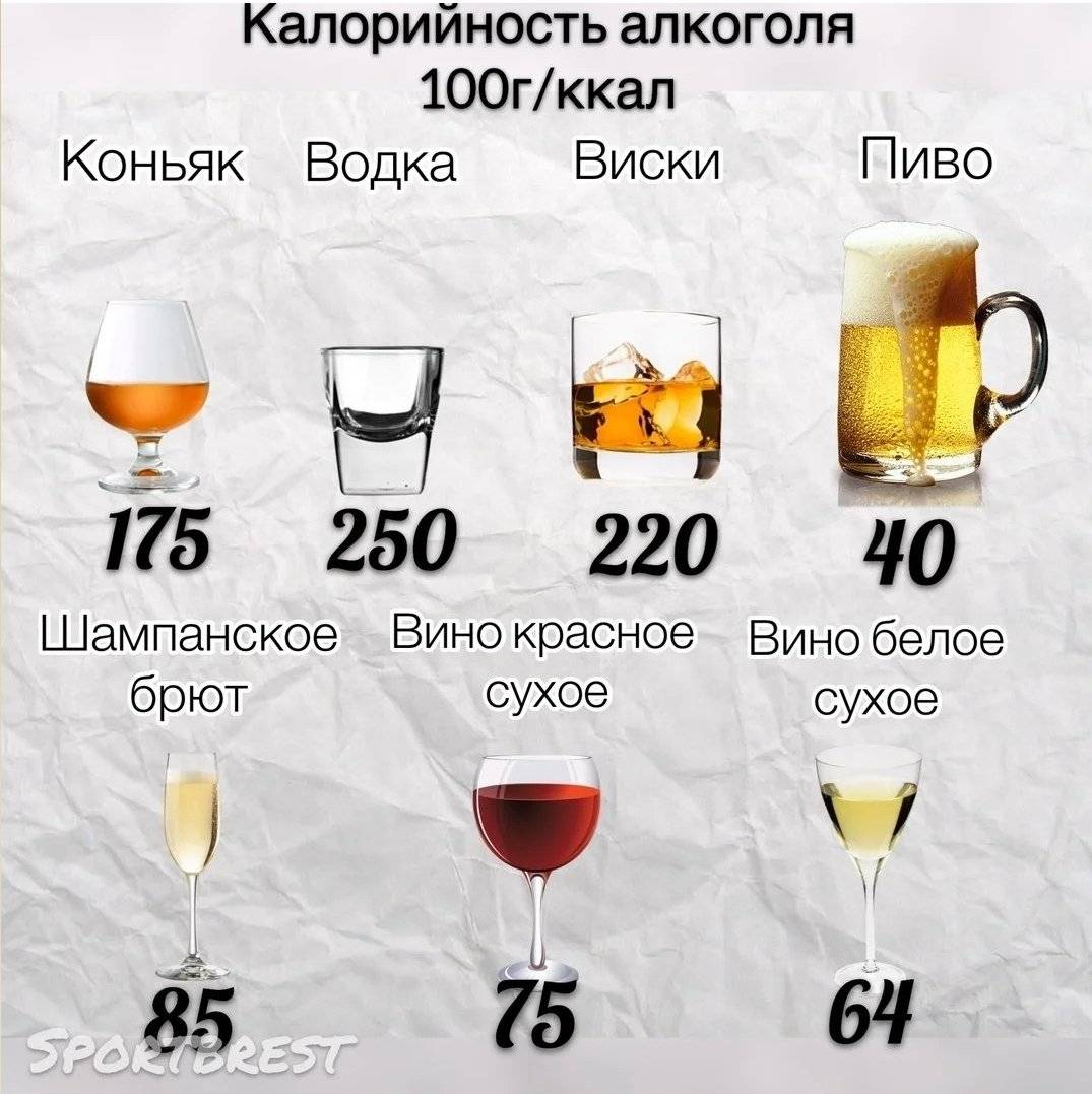 Пиво и вино на пп: какой алкоголь можно пить при пп - glamusha