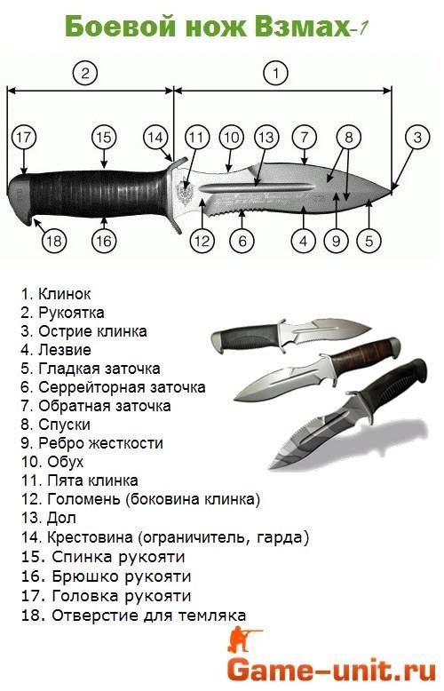 Выбор охотничьего ножа - промысловик.инфо