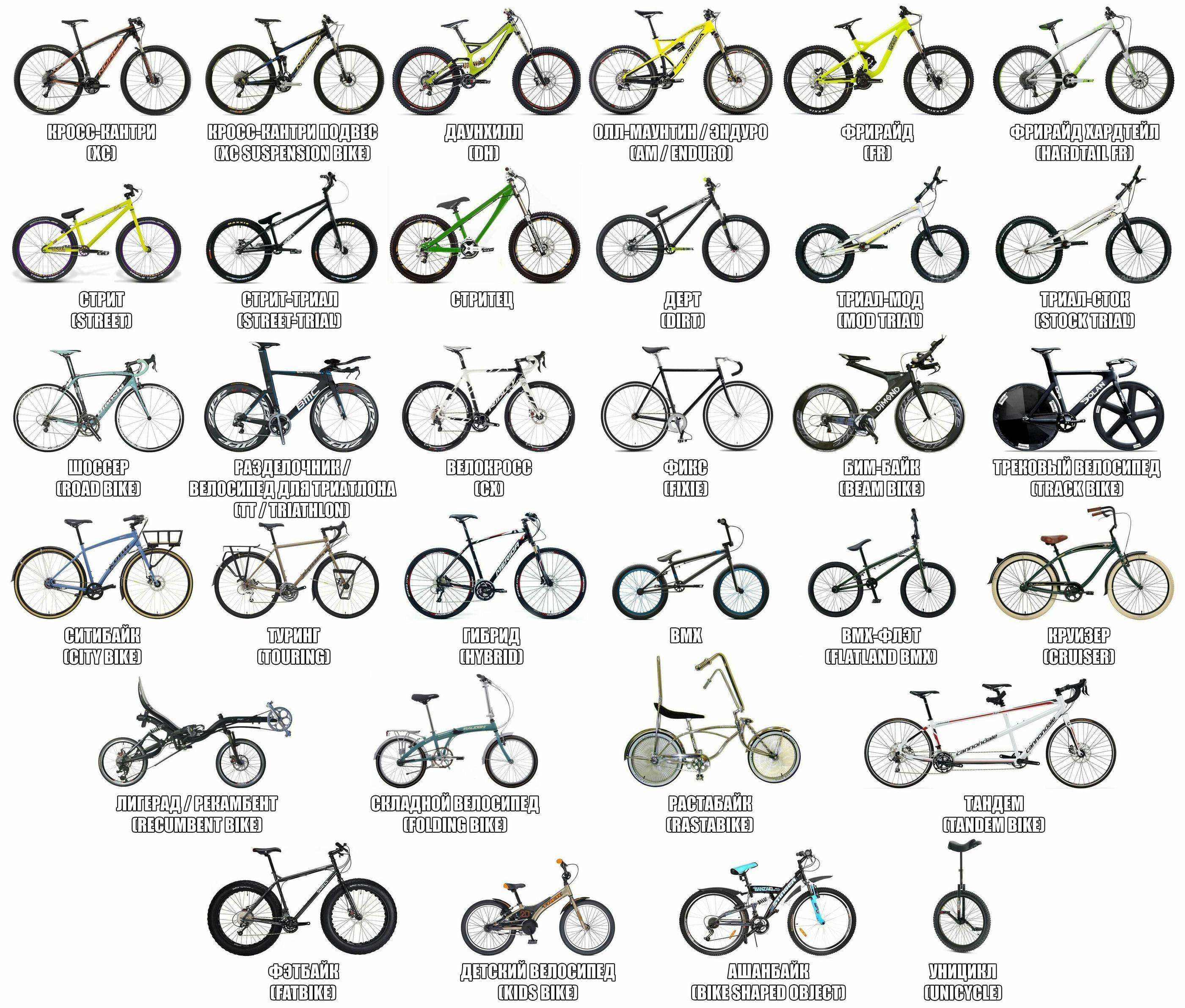 Какие бывают велосипеды: 20+ разновидностей на все случаи жизни