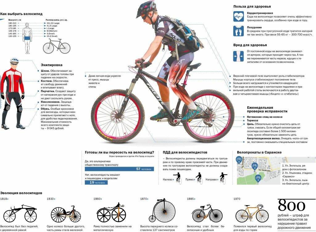 Как езда на велосипеде влияет на фигуру? польза или вред? - bike-rampage