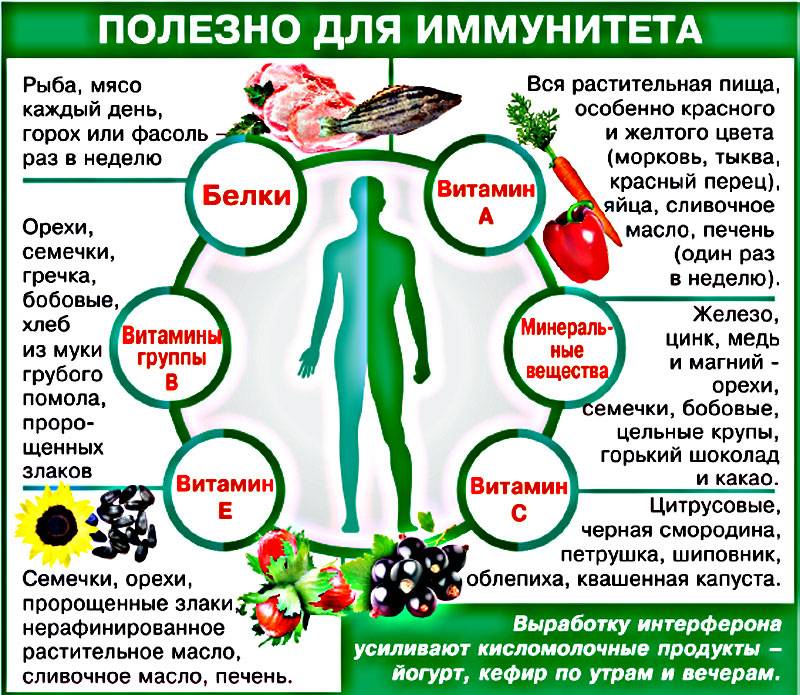 Список самых полезных продуктов для здоровья