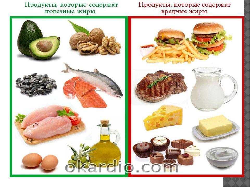 Жирные продукты, список продуктов, употребление которых следует ограничить