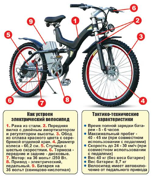 Электровелосипед - что это такое и как он устроен?