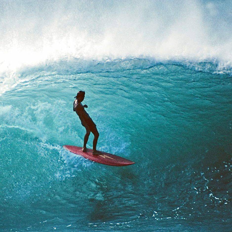 Как устроена доска для серфинга, ее элементы - wavehouse