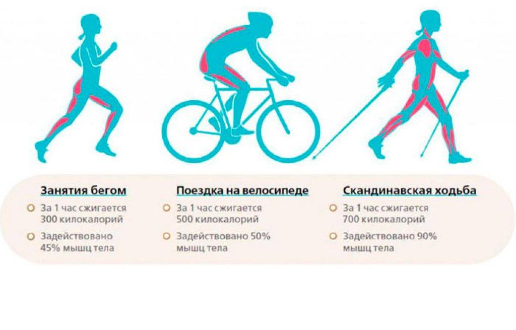 Сколько нужно ездить на велосипеде, чтобы похудеть. преимущества и недостатки езды на велосипеде | школа красоты