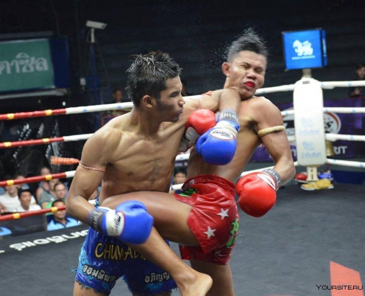 Муай тай – тайский бокс
