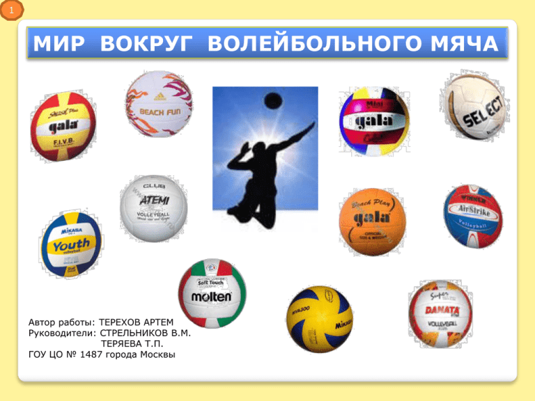 Волейбольный мяч.виды и производители.как выбрать и особенности