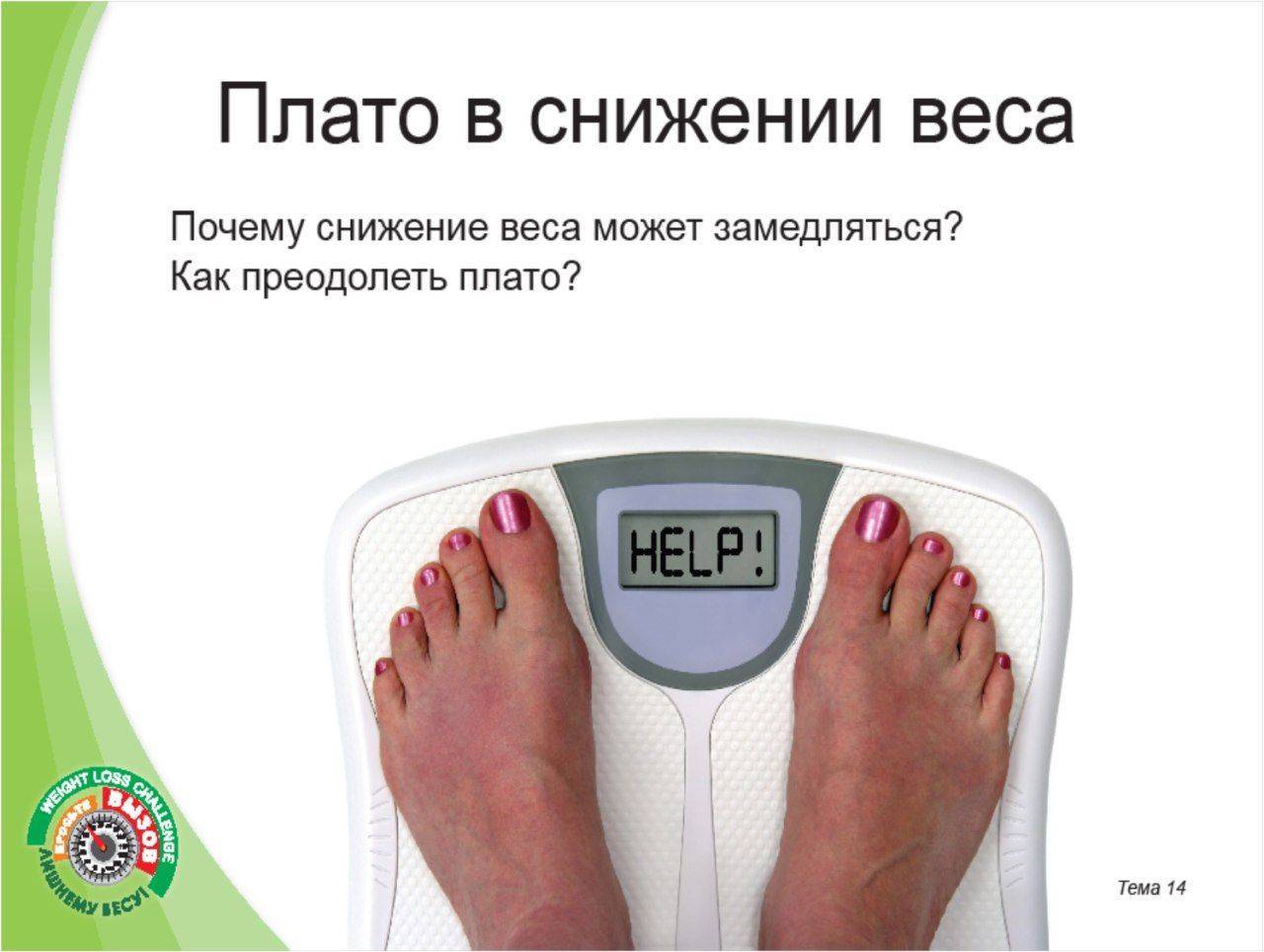 Почему после лечебного голодания может возвратиться вес | spagolod.ru