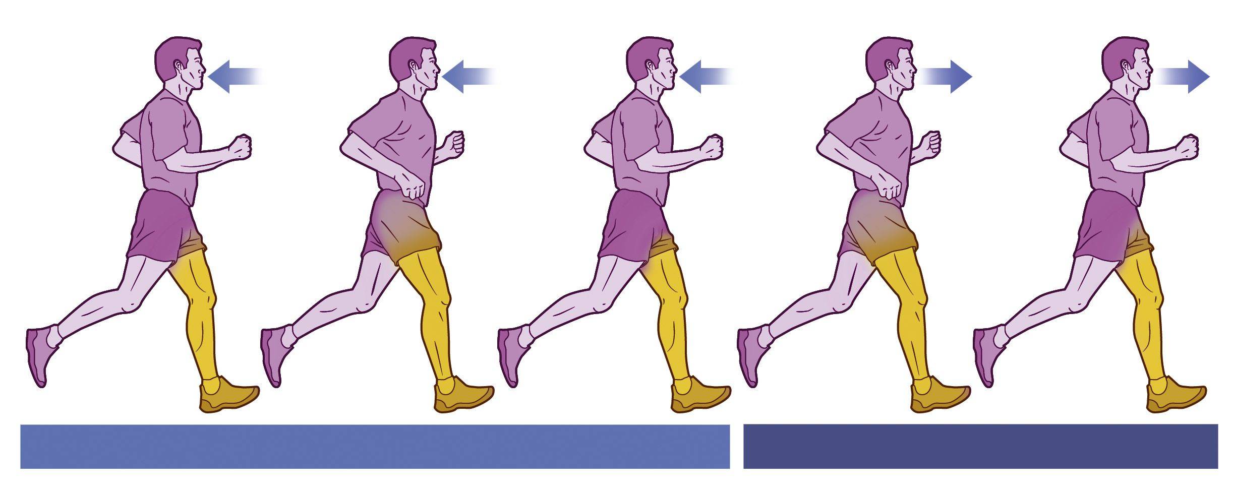 Боль в боку при беге: причины, почему колет в правом и левом во время и после, а также как правильно бегать, чтобы не болело под ребрами