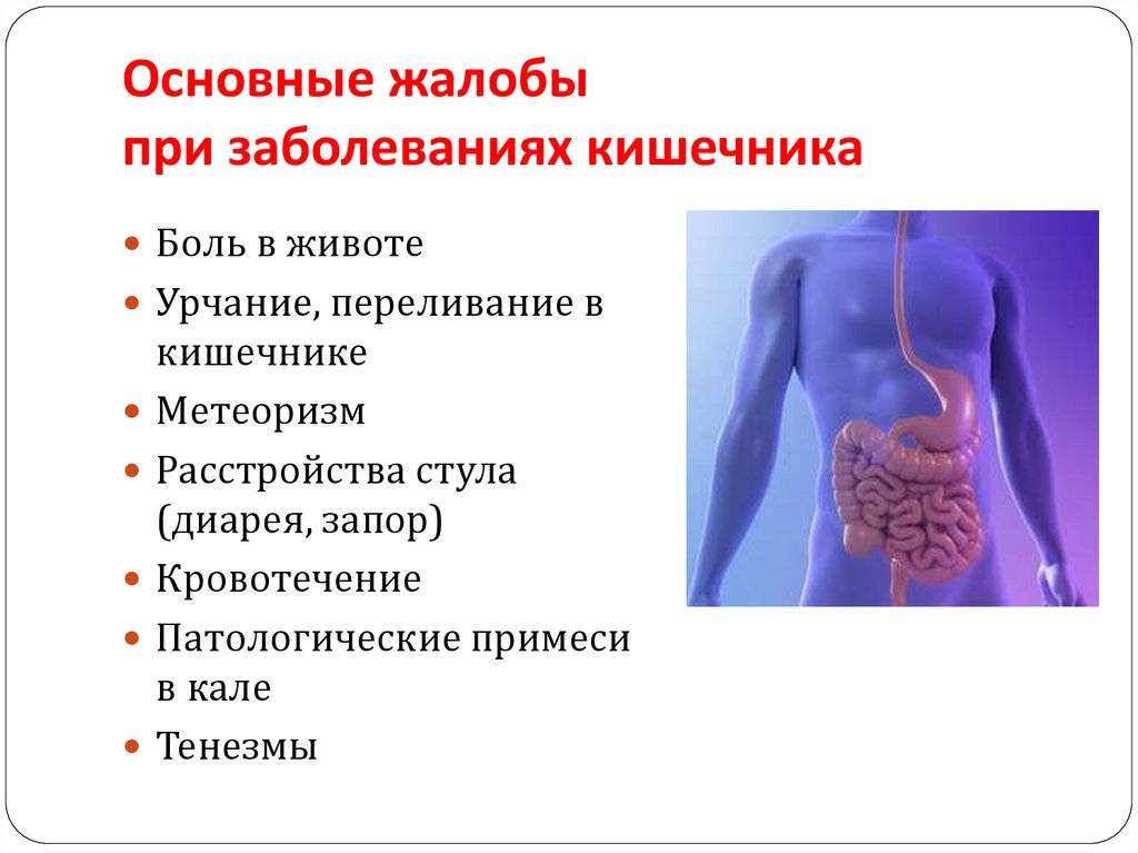 Заболевания тонкого кишечника симптомы