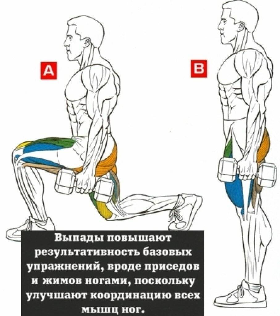 Тренировка на ноги для мужчин. Тренировка мышц ног. Прокачка мышц ног. Упражнения на ноги.