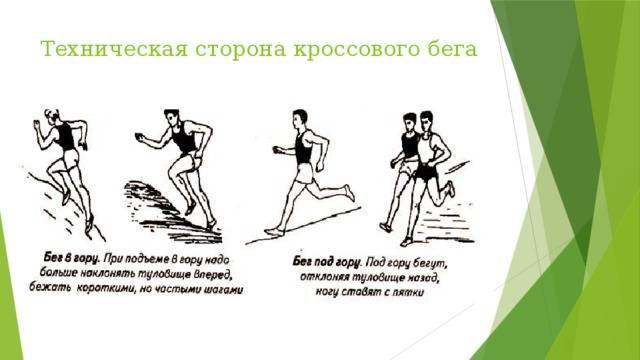Кроссовый бег. виды и техника бега. начинающим и особенности | japanbi.ru