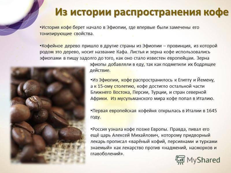 Памятка кофемана: как пить кофе, чтобы не навредить организму