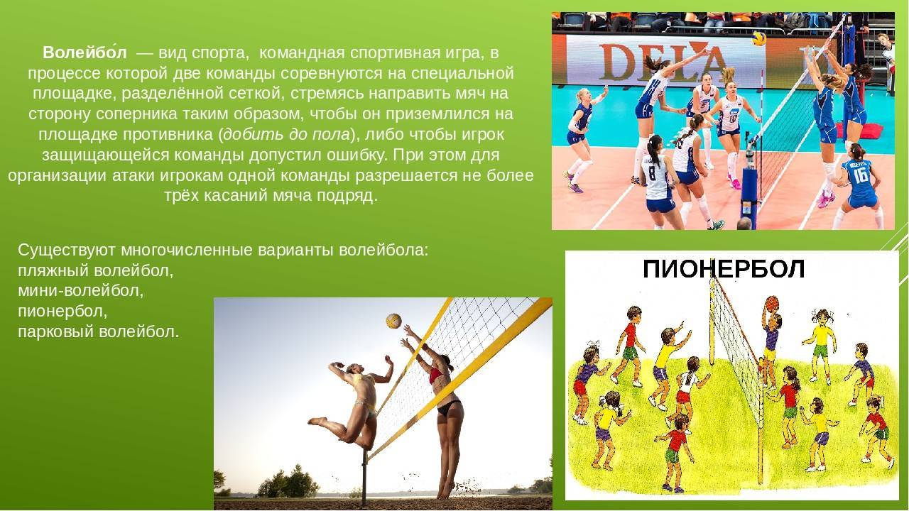 Разновидности волейбола. волейбол: происхождение игры и правила - реферат