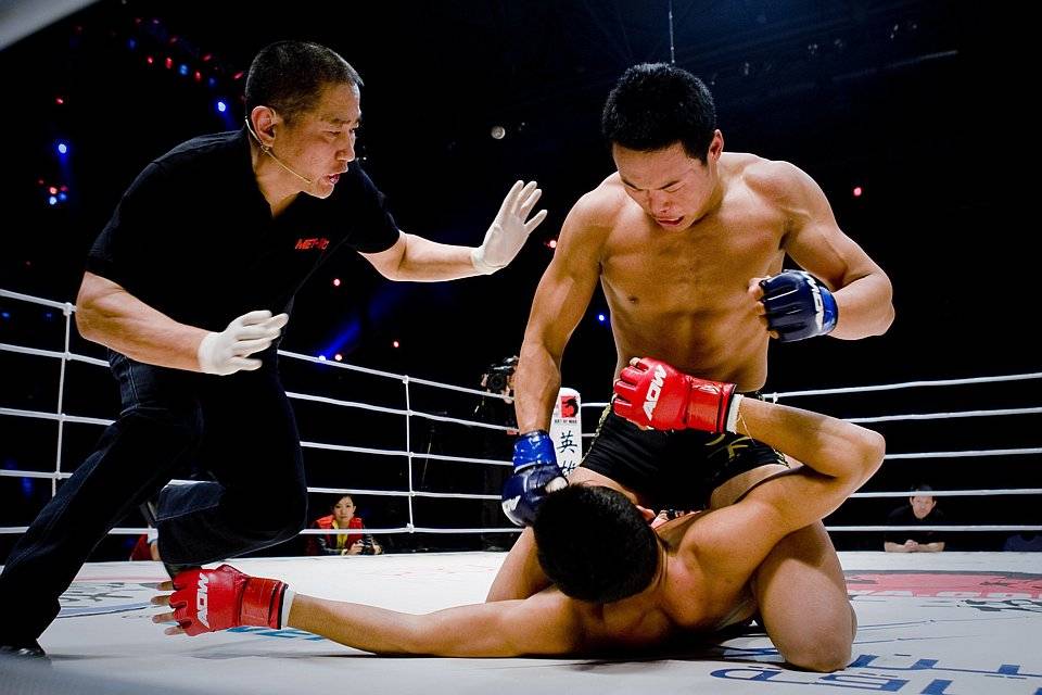 Техники и приёмы тайского бокса. теория и практика