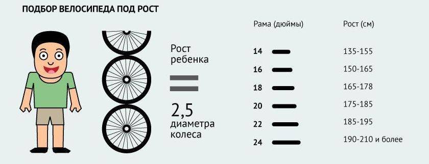 Как выбрать велосипед ребёнку по росту. таблица