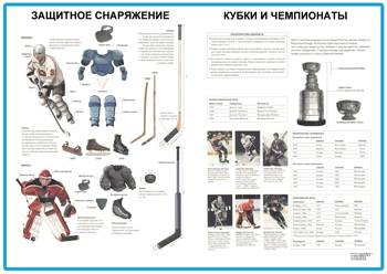 Хоккей с шайбой: описание, история, правила, экипировка﻿