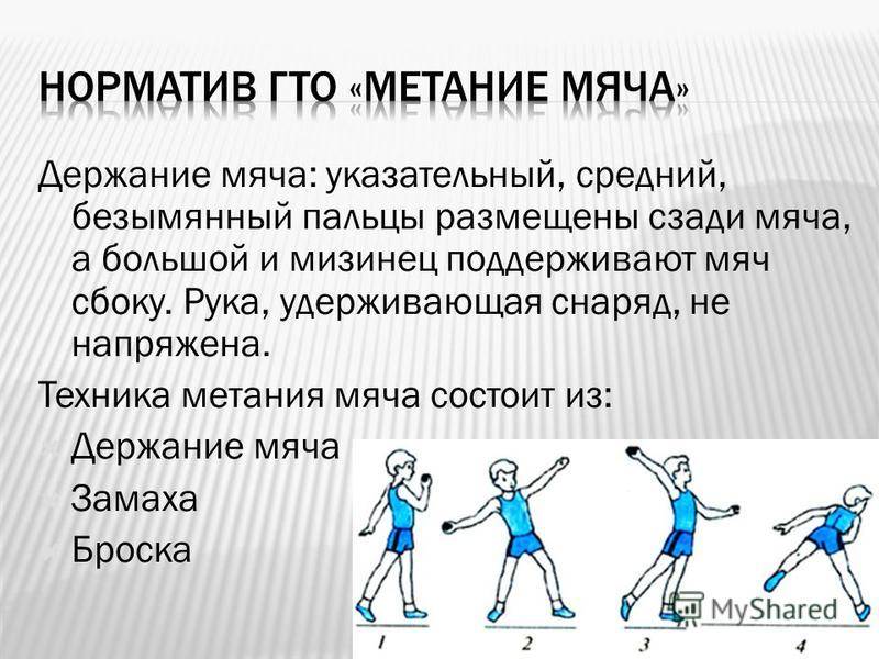 Правила соревнований по метанию мяча кратко