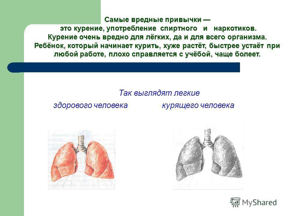 Легкие доклад 3 класс. Легкие. Доклад на тему легкие. Легкие курильщика и здорового человека доклад. Иллюстрации легкие здорового человека и курильщика.