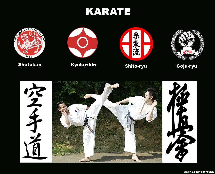Кекусинкай: что это и чем отличается от других видов карате